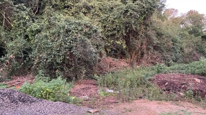 Chácara à venda de 2 ha em Santo Antônio da Patrulha, RS, Brasil