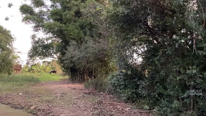 Chácara à venda de 2 ha em Santo Antônio da Patrulha, RS, Brasil