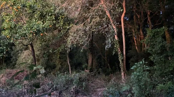 Chácara à venda de 2 ha em Santo Antônio da Patrulha, RS, Brasil