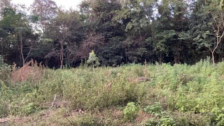 Chácara à venda de 2 ha em Santo Antônio da Patrulha, RS, Brasil