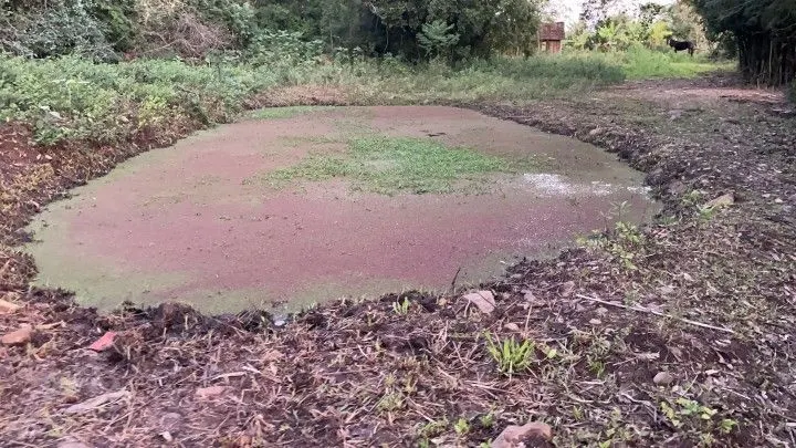 Chácara à venda de 2 ha em Santo Antônio da Patrulha, RS, Brasil