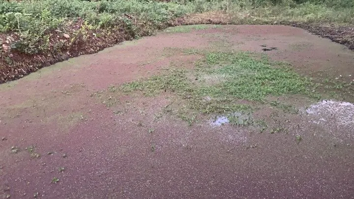 Chácara à venda de 2 ha em Santo Antônio da Patrulha, RS, Brasil