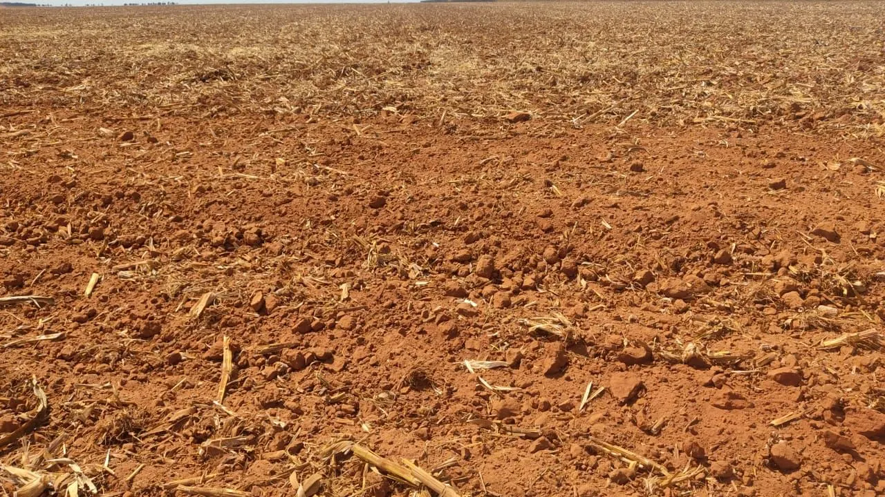 Fazenda à venda de 5.000 ha em Nova Maringá, MT, Brasil