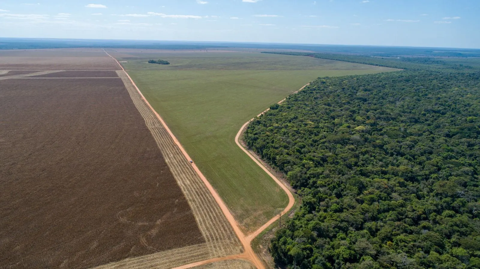 Fazenda à venda de 5.000 ha em Nova Maringá, MT, Brasil