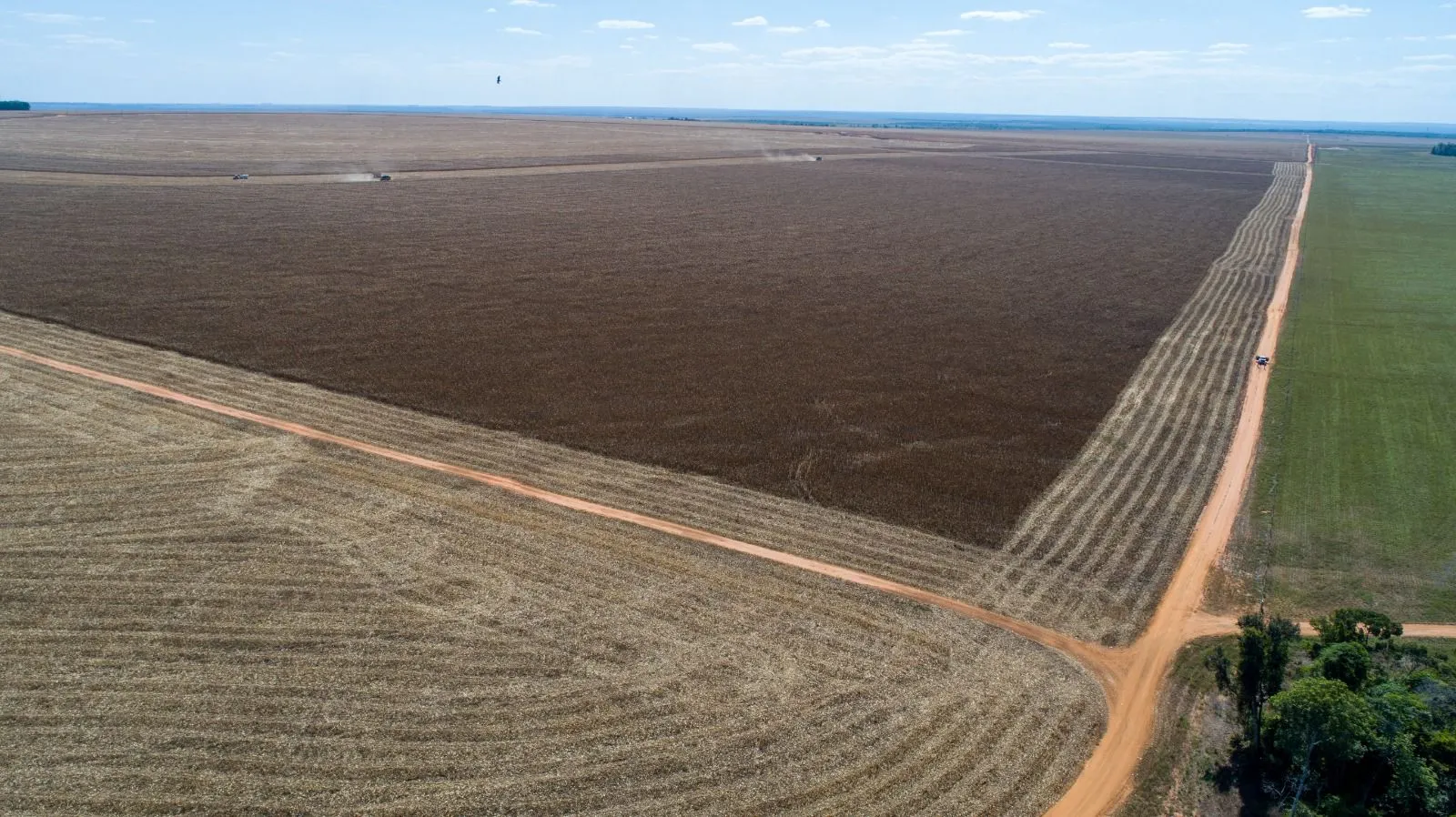Fazenda à venda de 5.000 ha em Nova Maringá, MT, Brasil