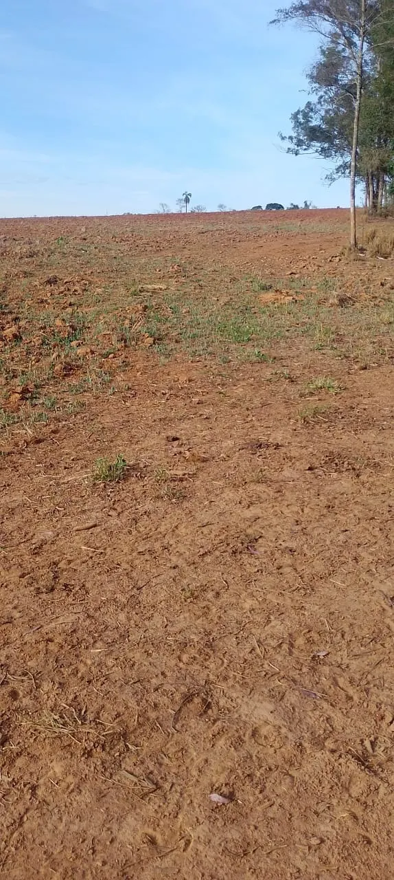 Fazenda à venda de 16 ha em Tatuí, SP, Brasil