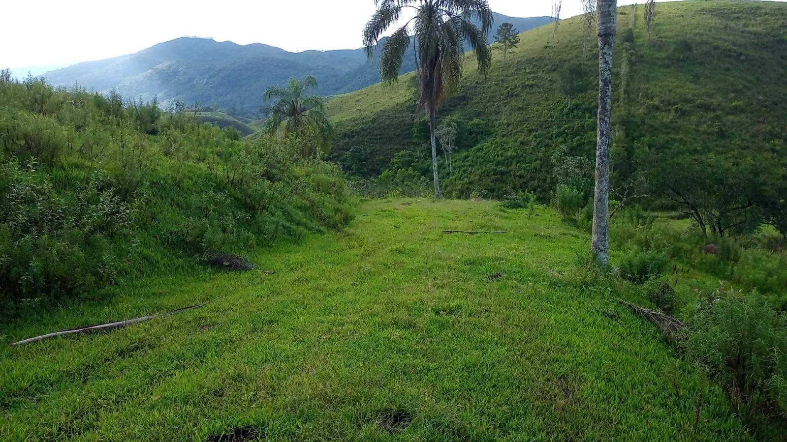 Small farm for sale of 221 acres in São José dos Campos, SP, Brazil