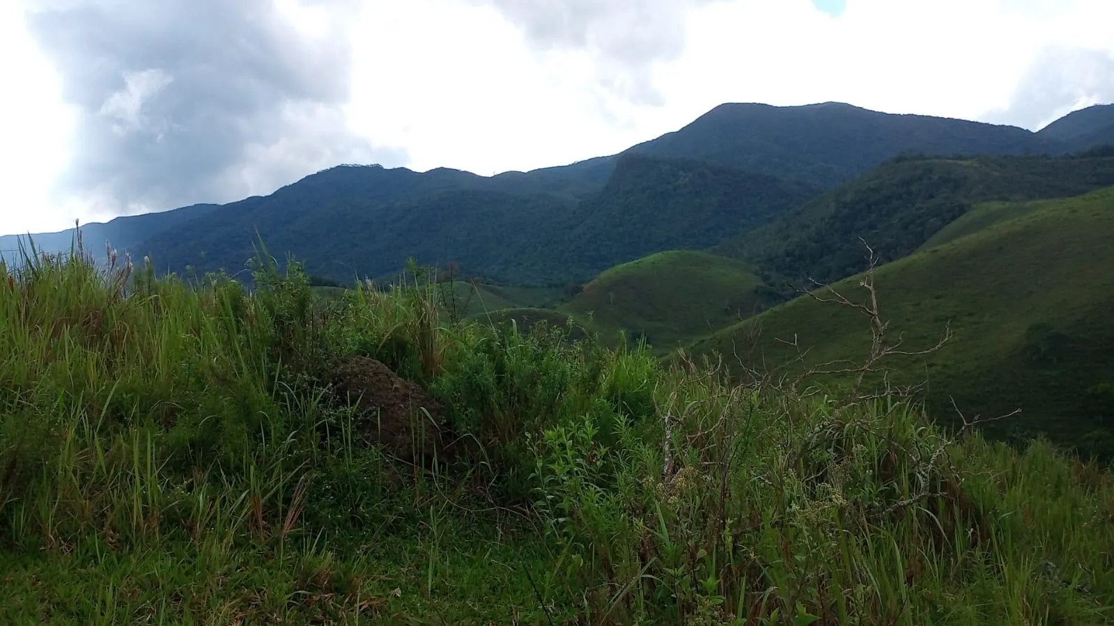 Small farm for sale of 221 acres in São José dos Campos, SP, Brazil