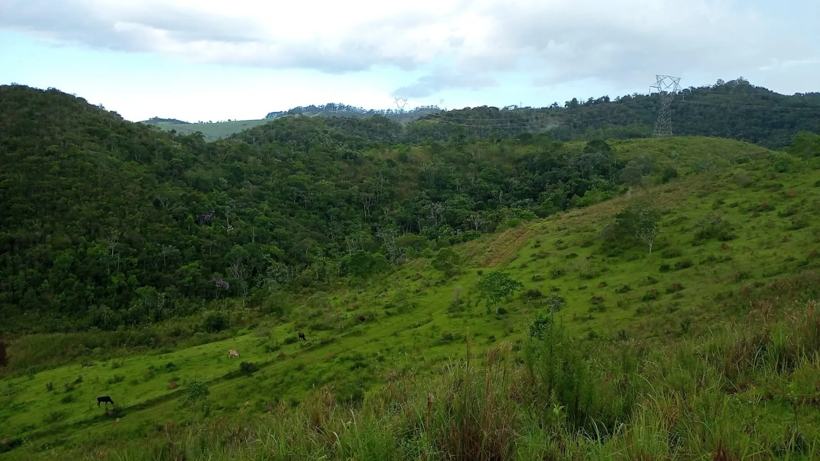 Small farm for sale of 221 acres in São José dos Campos, SP, Brazil