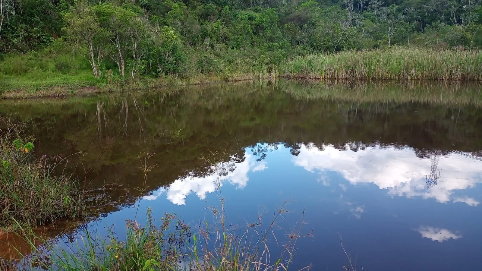 Small farm for sale of 221 acres in São José dos Campos, SP, Brazil
