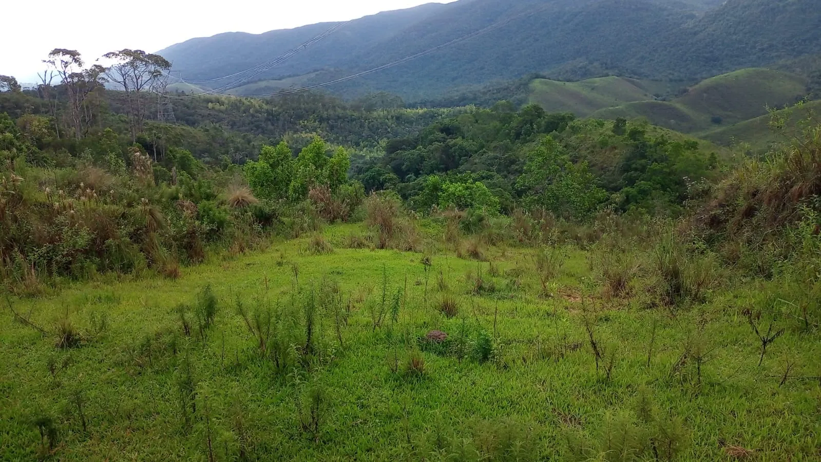 Small farm for sale of 221 acres in São José dos Campos, SP, Brazil