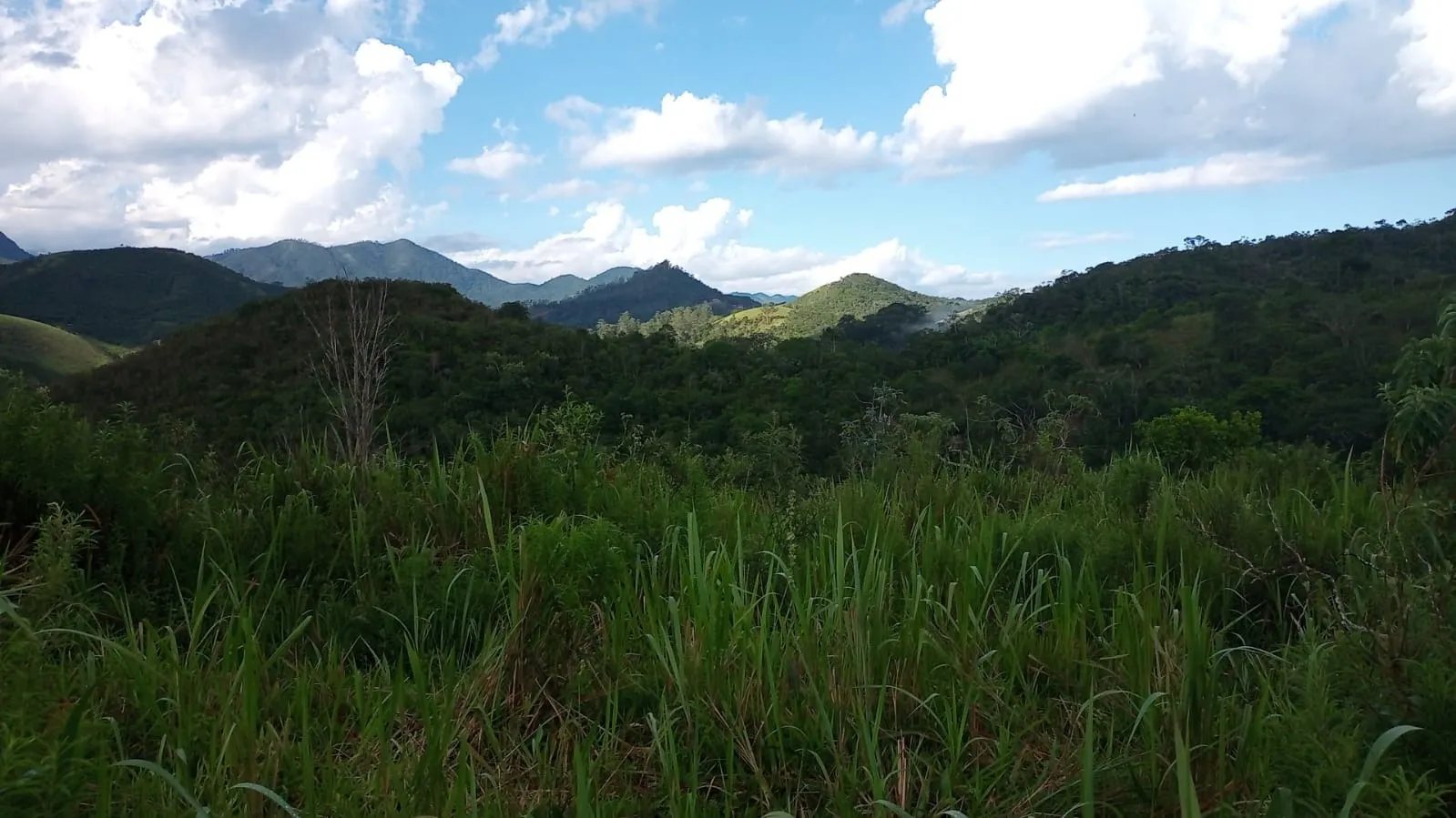 Small farm for sale of 221 acres in São José dos Campos, SP, Brazil