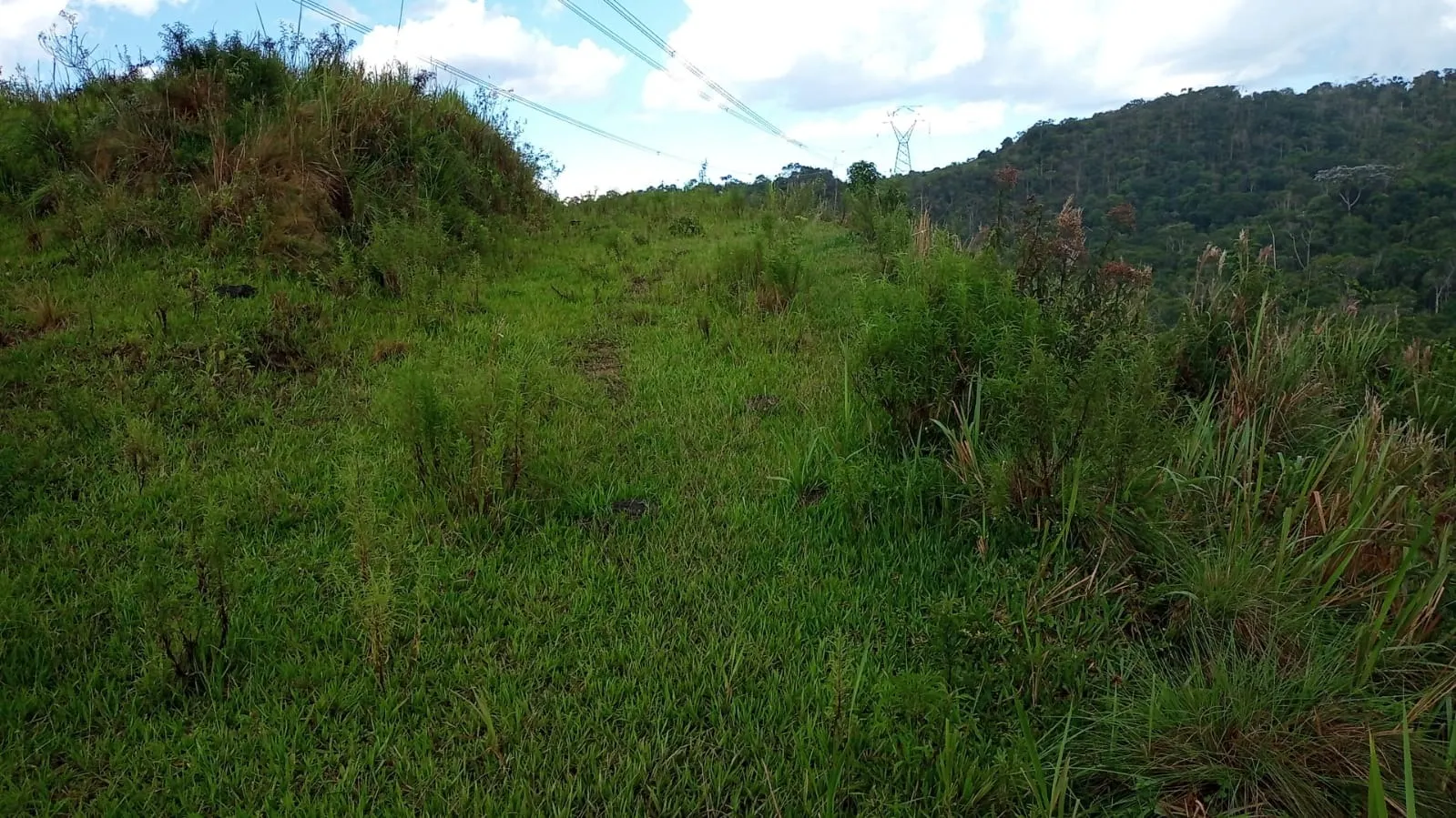 Small farm for sale of 221 acres in São José dos Campos, SP, Brazil