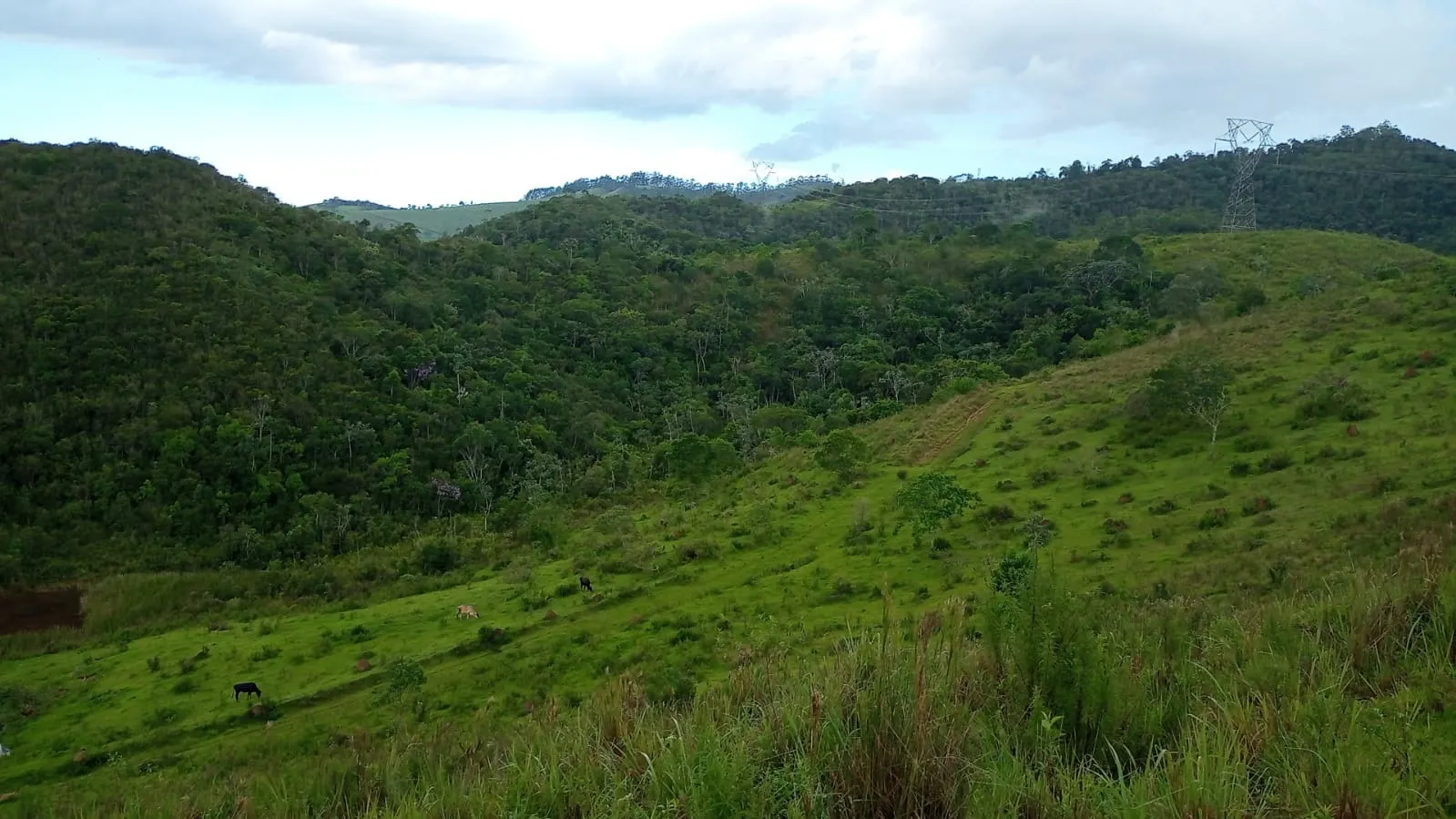 Small farm for sale of 221 acres in São José dos Campos, SP, Brazil