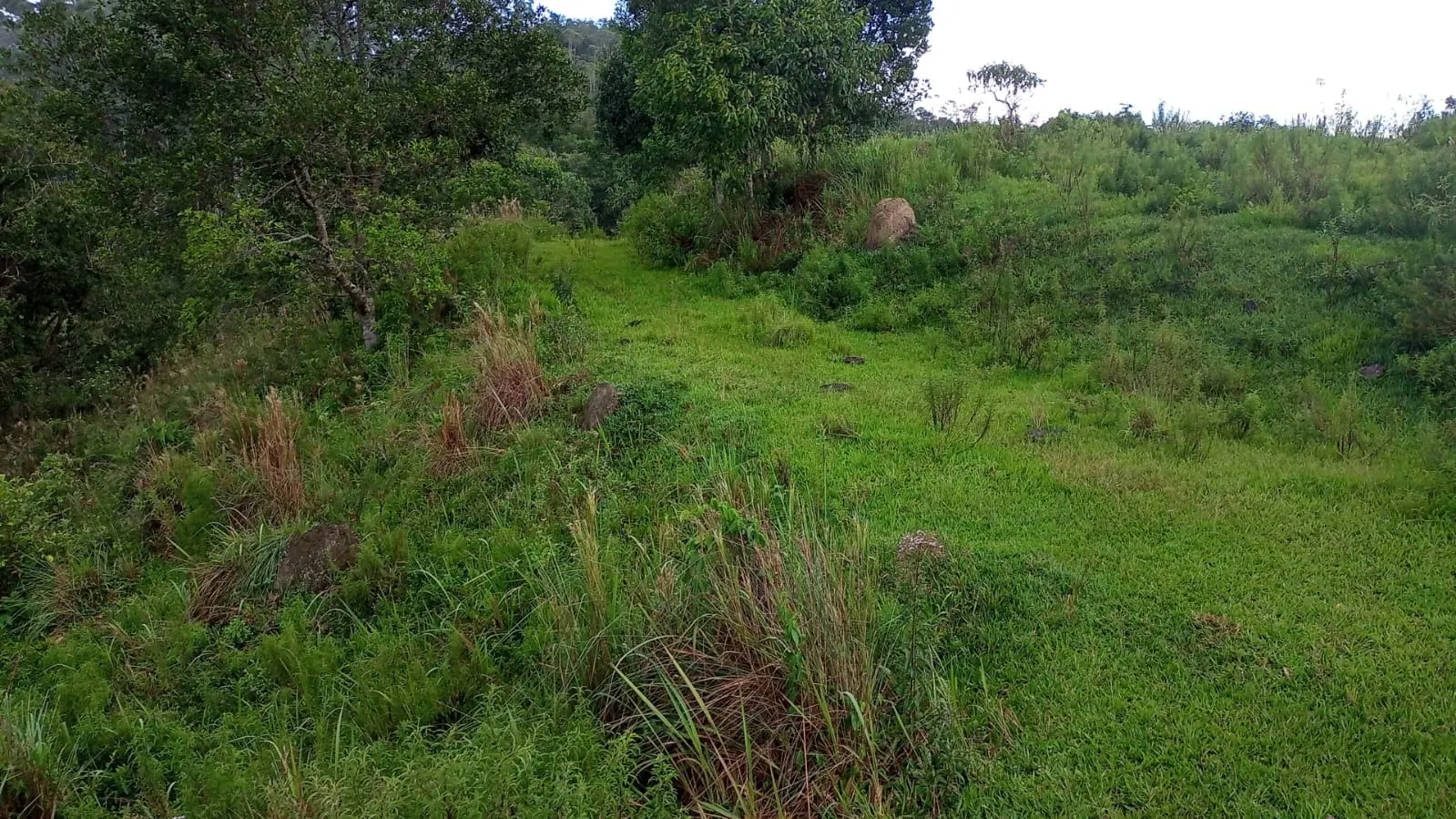 Small farm for sale of 221 acres in São José dos Campos, SP, Brazil