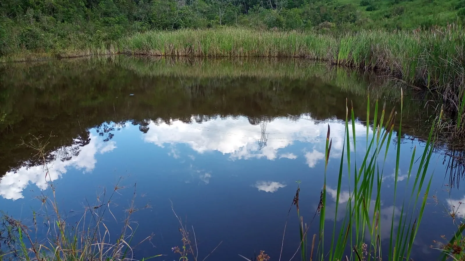 Small farm for sale of 221 acres in São José dos Campos, SP, Brazil