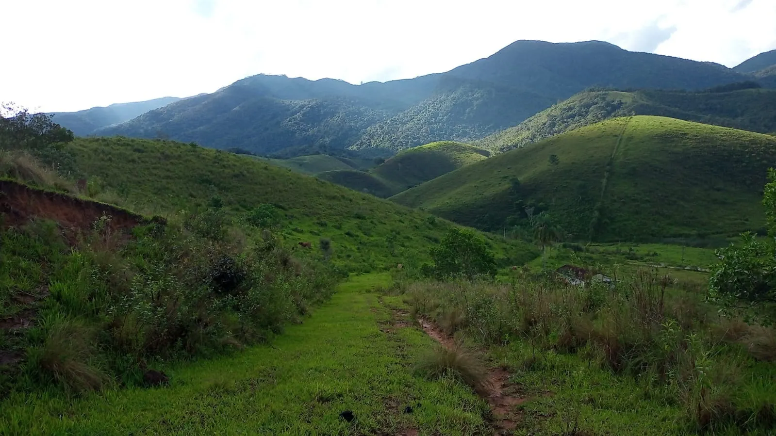 Small farm for sale of 221 acres in São José dos Campos, SP, Brazil