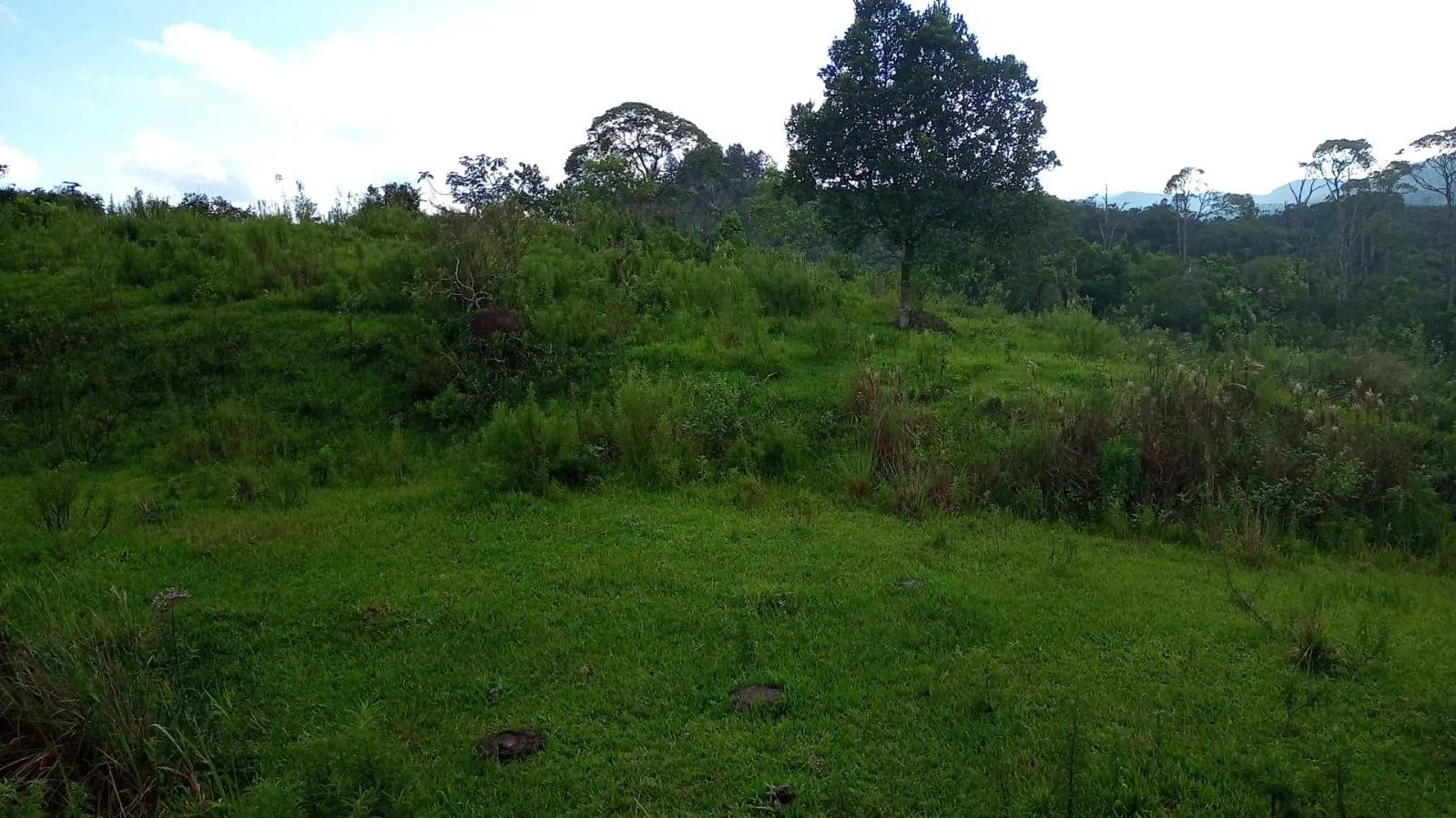 Small farm for sale of 221 acres in São José dos Campos, SP, Brazil