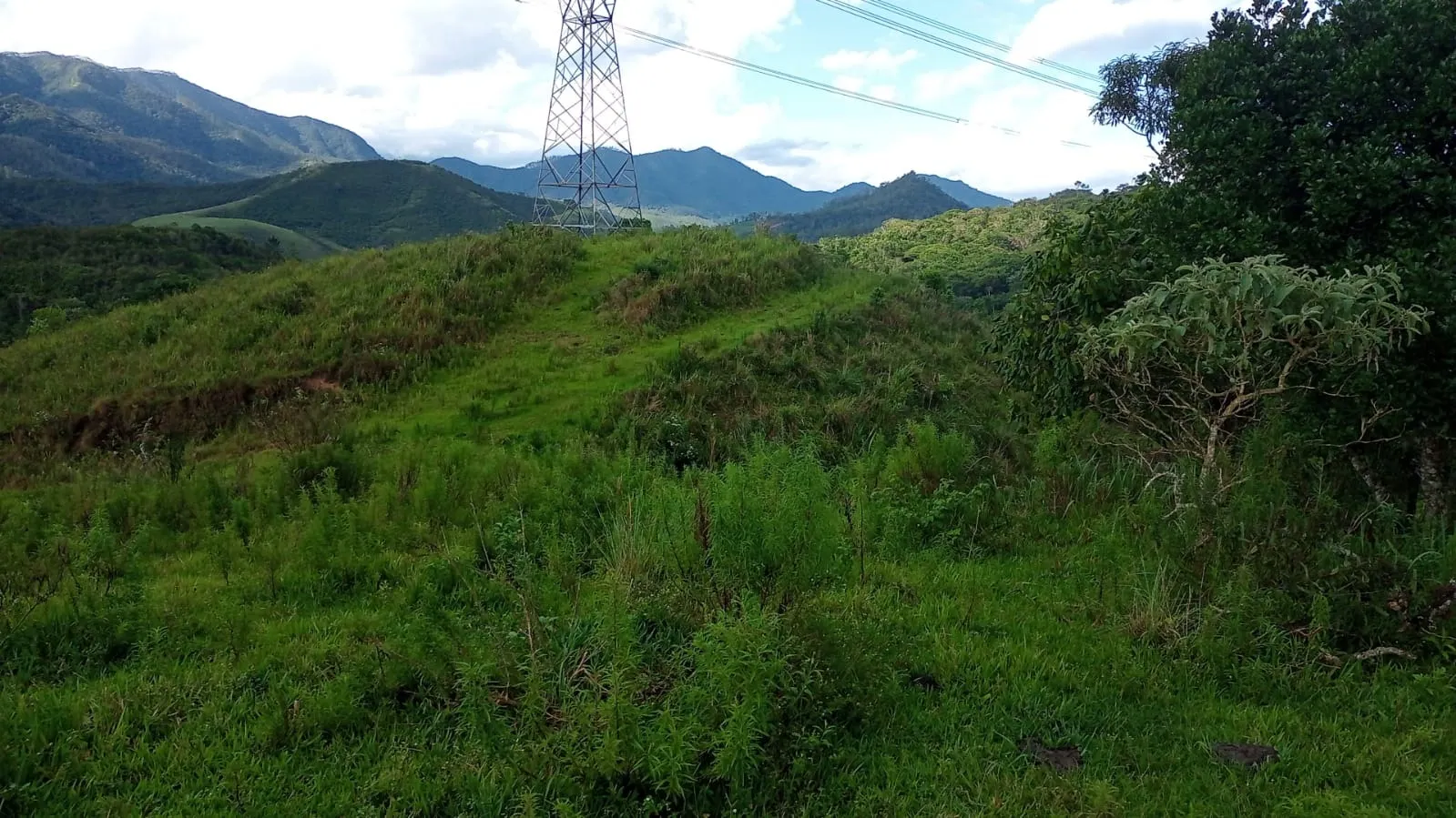 Small farm for sale of 221 acres in São José dos Campos, SP, Brazil