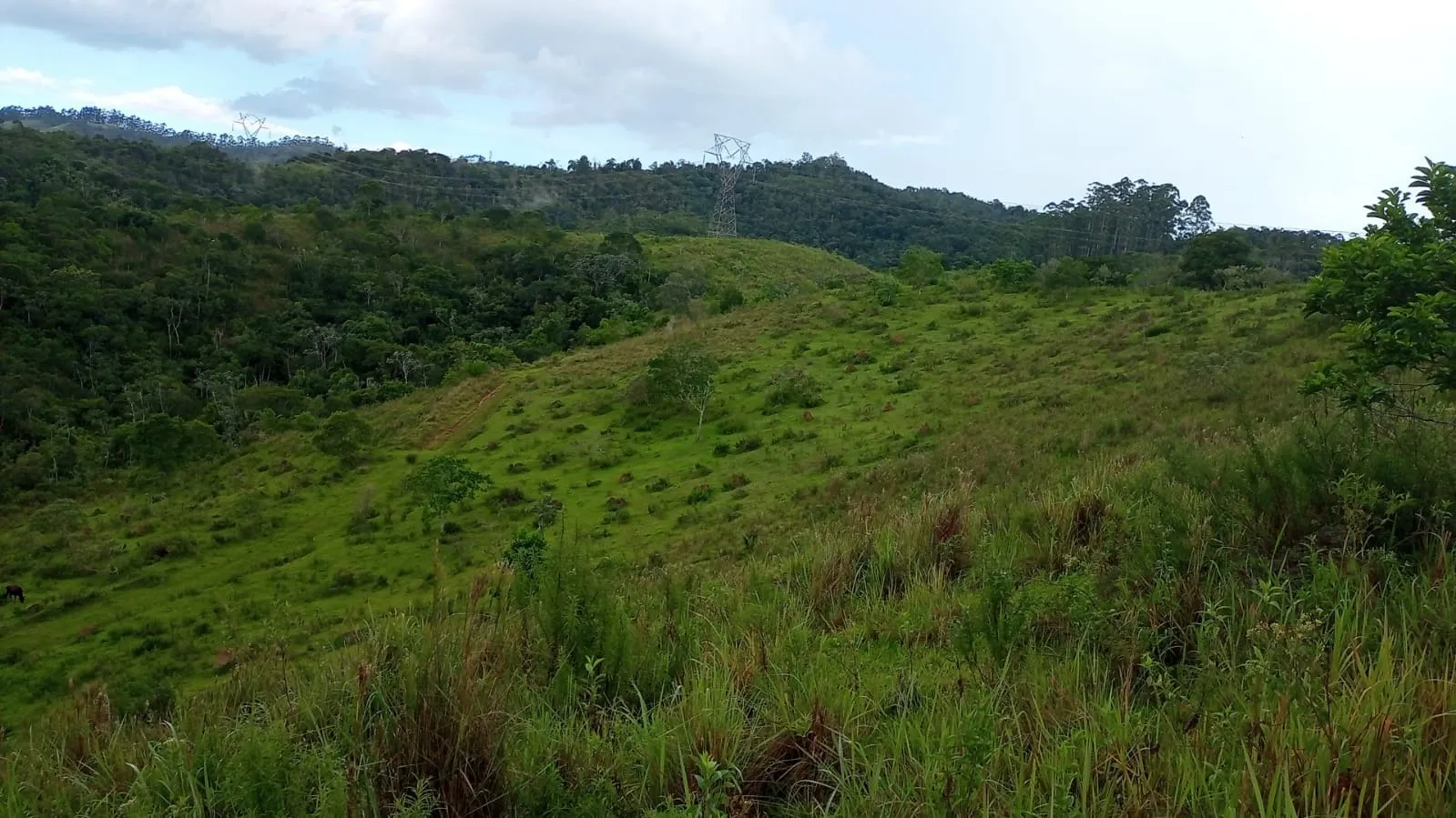 Small farm for sale of 221 acres in São José dos Campos, SP, Brazil