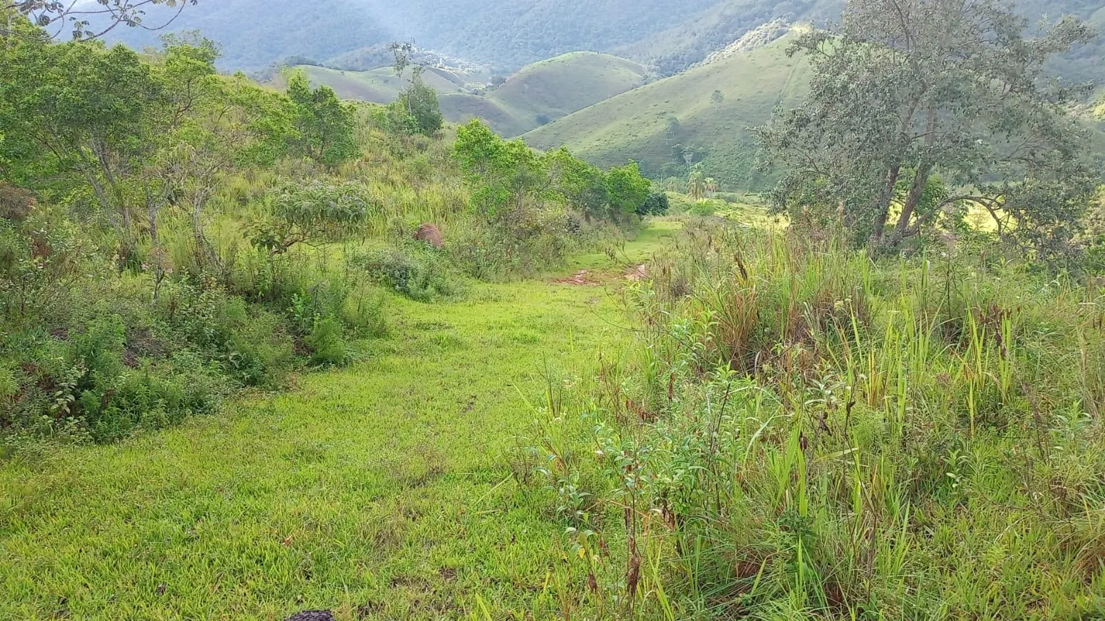 Small farm for sale of 221 acres in São José dos Campos, SP, Brazil