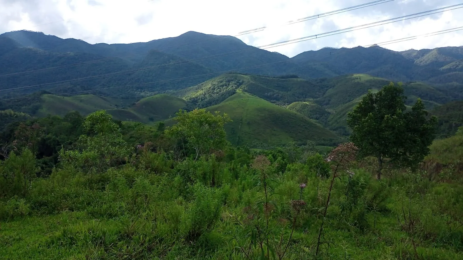 Small farm for sale of 221 acres in São José dos Campos, SP, Brazil