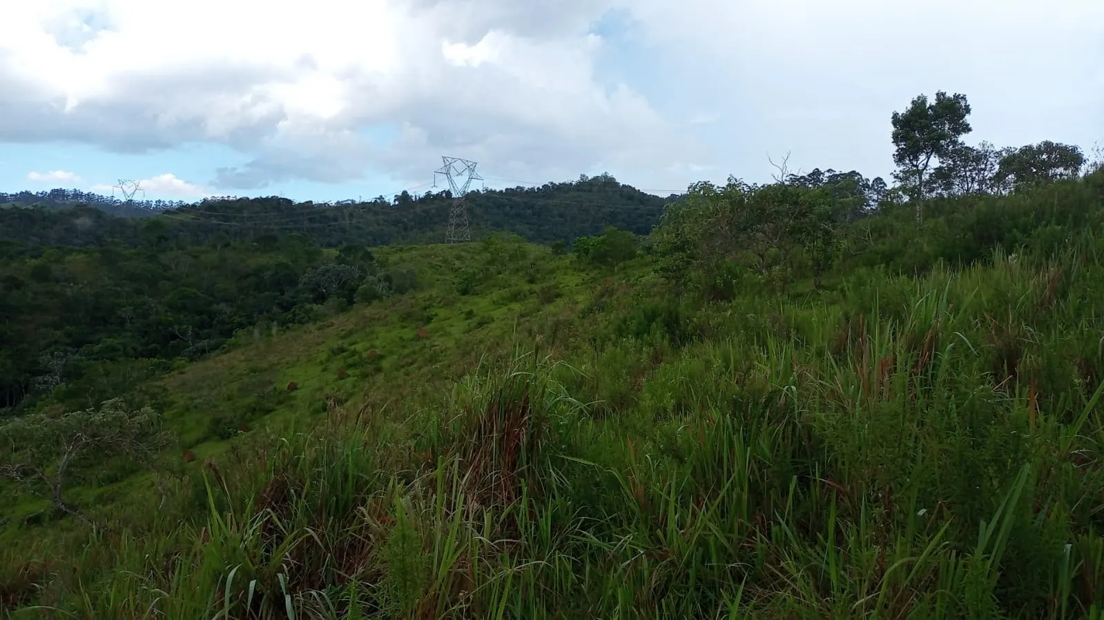 Small farm for sale of 221 acres in São José dos Campos, SP, Brazil