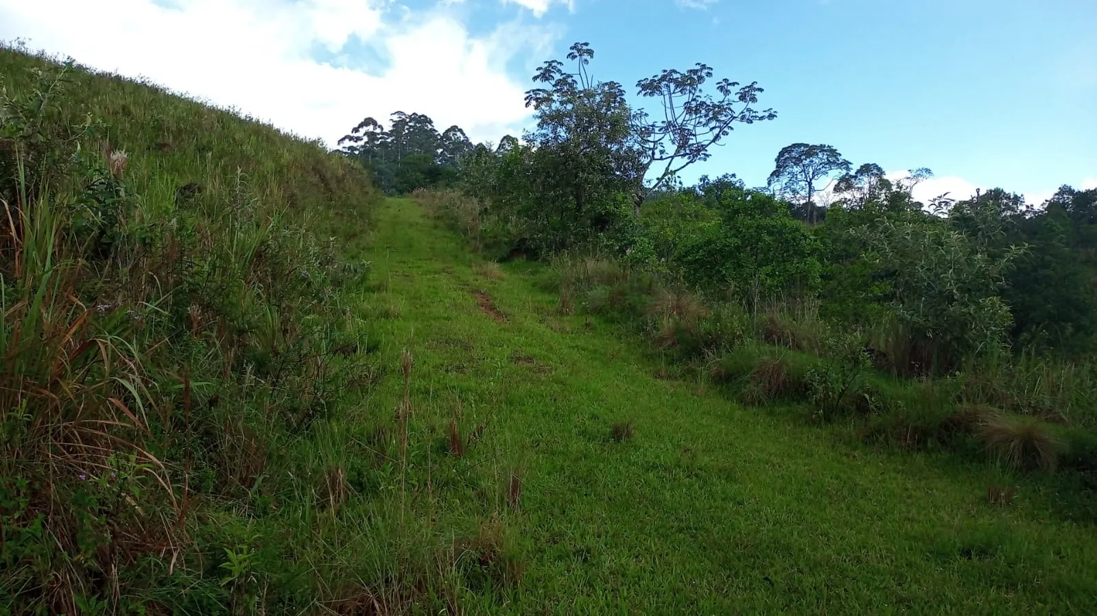 Small farm for sale of 221 acres in São José dos Campos, SP, Brazil