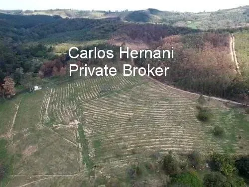 Farm for sale of 209 acres in Itu, SP, Brazil