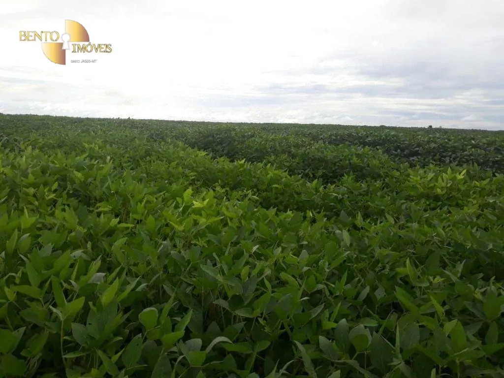 Fazenda à venda de 9.680 ha em Santana do Araguaia, PA, Brasil