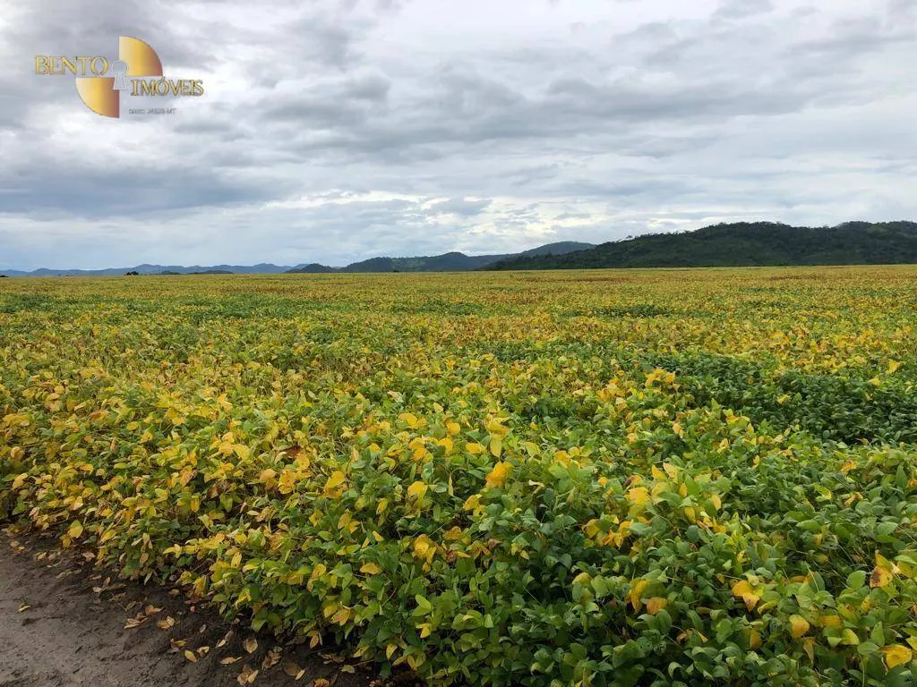Fazenda à venda de 9.680 ha em Santana do Araguaia, PA, Brasil