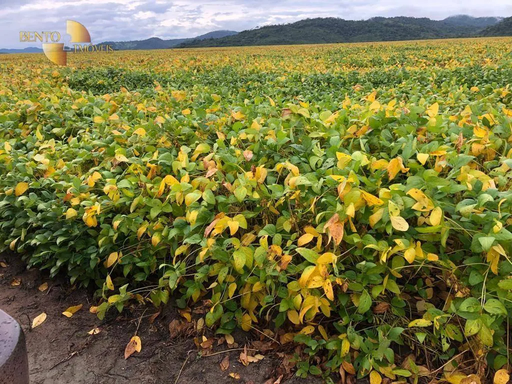 Fazenda à venda de 9.680 ha em Santana do Araguaia, PA, Brasil