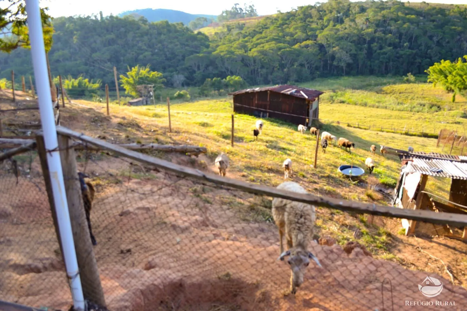 Fazenda à venda de 8 ha em Jambeiro, SP, Brasil