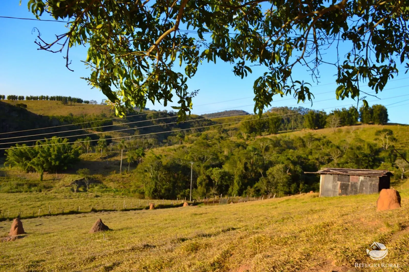 Fazenda à venda de 8 ha em Jambeiro, SP, Brasil