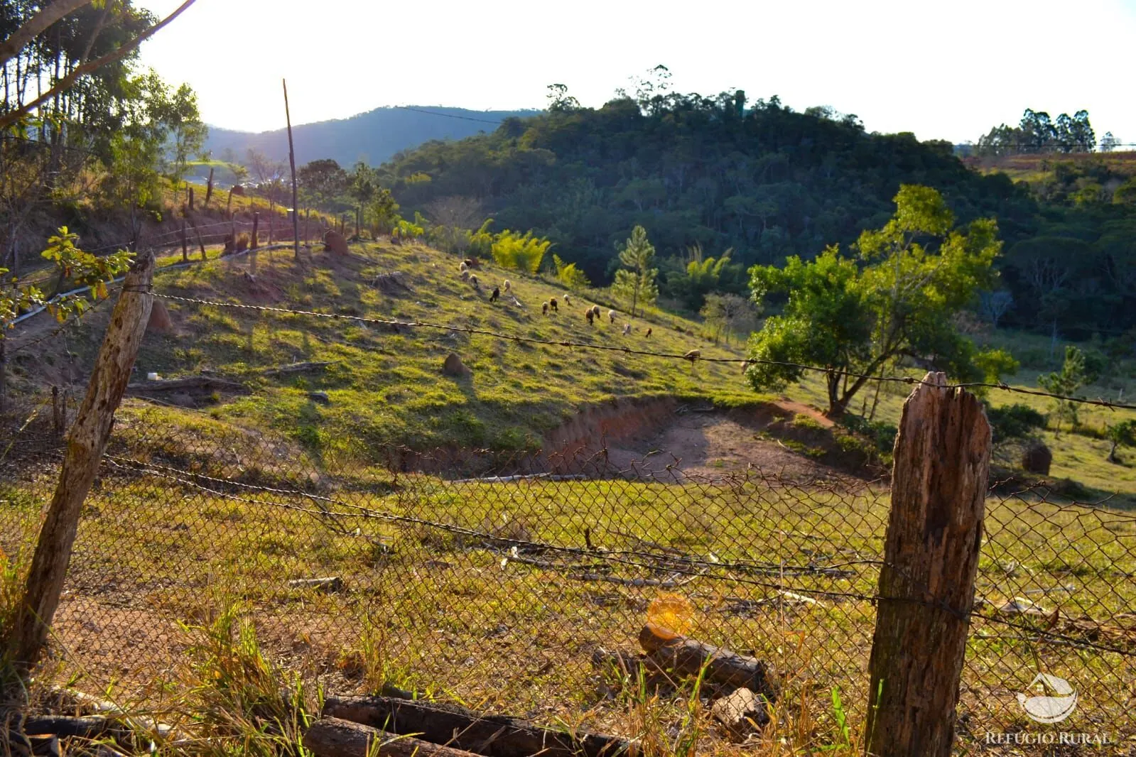 Fazenda à venda de 8 ha em Jambeiro, SP, Brasil