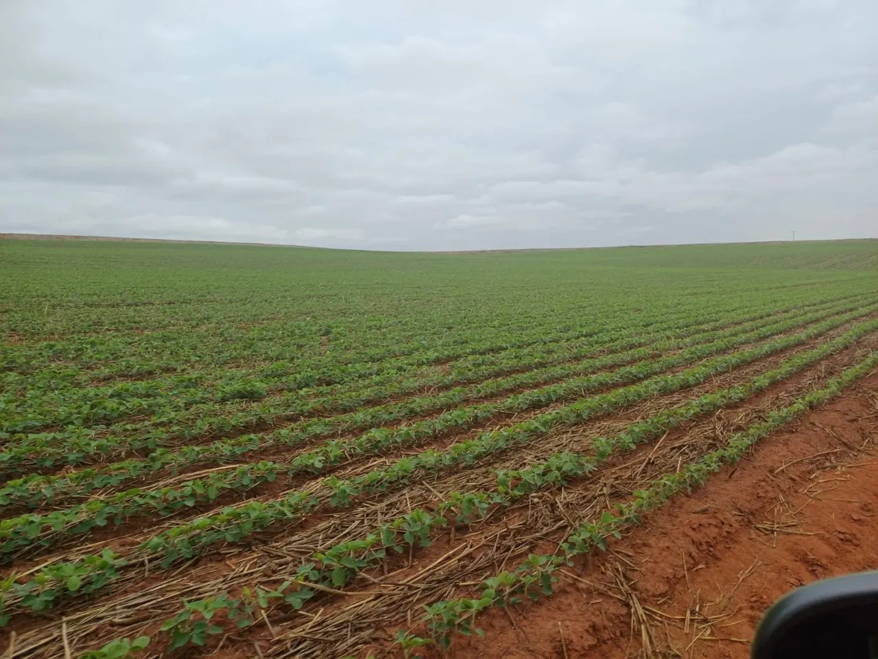 Fazenda à venda de 1.670 ha em Itaberá, SP, Brasil