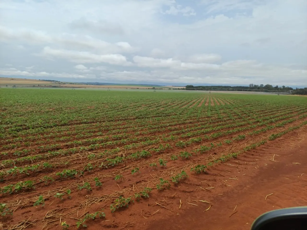 Fazenda à venda de 1.670 ha em Itaberá, SP, Brasil
