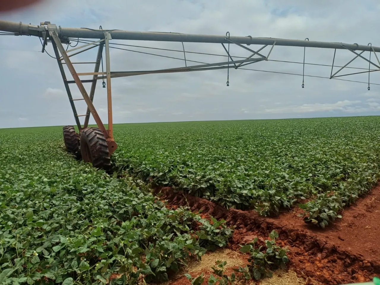 Fazenda à venda de 1.670 ha em Itaberá, SP, Brasil