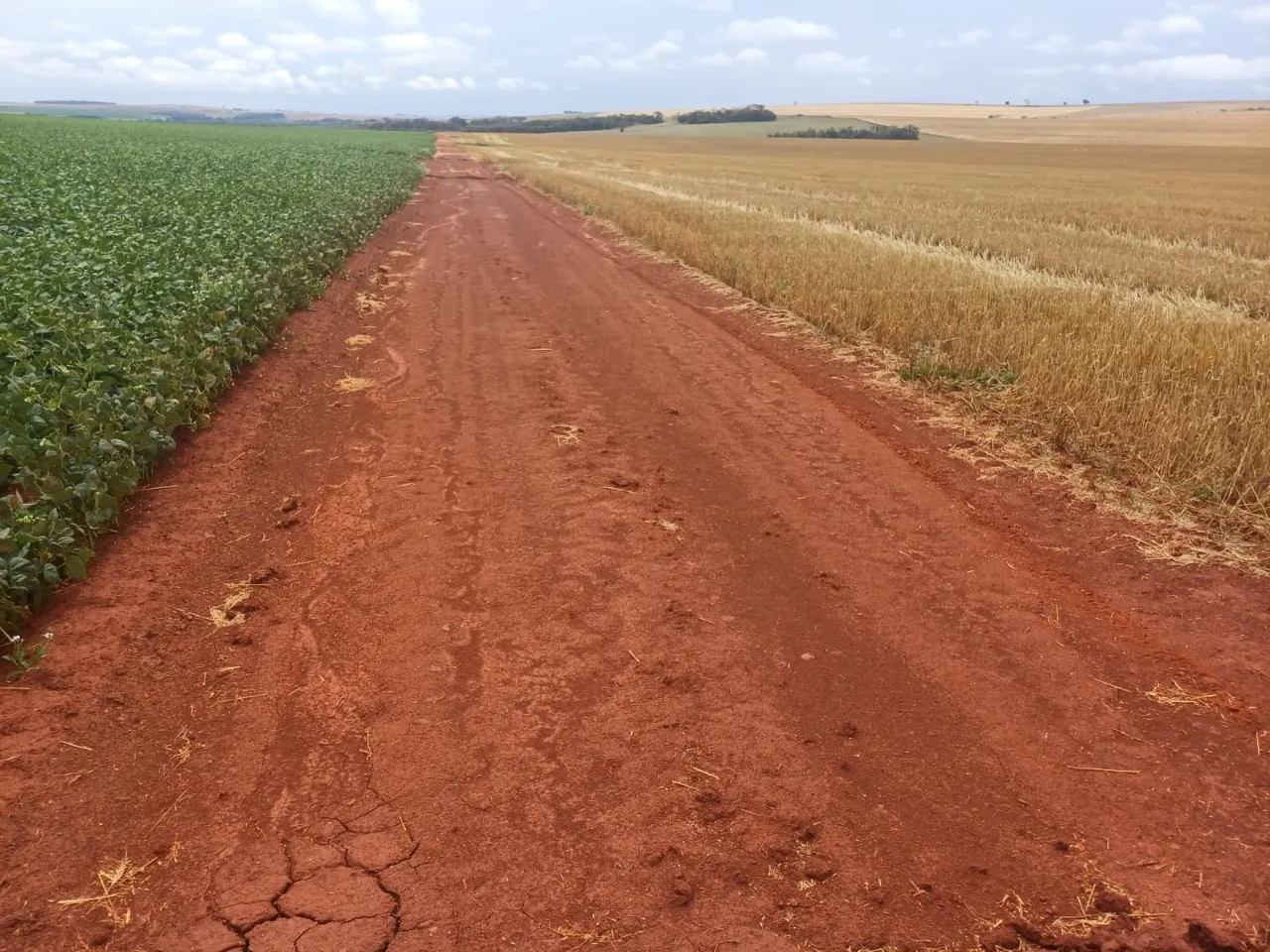 Fazenda à venda de 1.670 ha em Itaberá, SP, Brasil