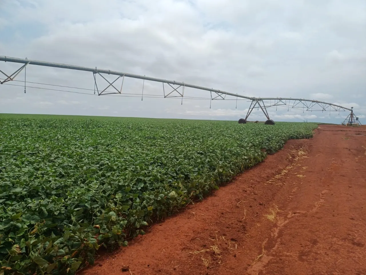Fazenda à venda de 1.670 ha em Itaberá, SP, Brasil