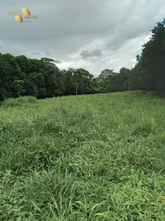 Small farm for sale of 10 acres in Nobres, MT, Brazil