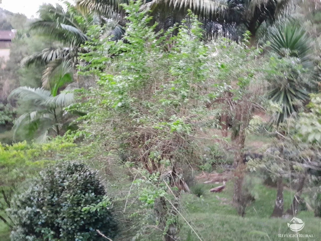 Country home for sale of 3,000 m² in São José dos Campos, SP, Brazil