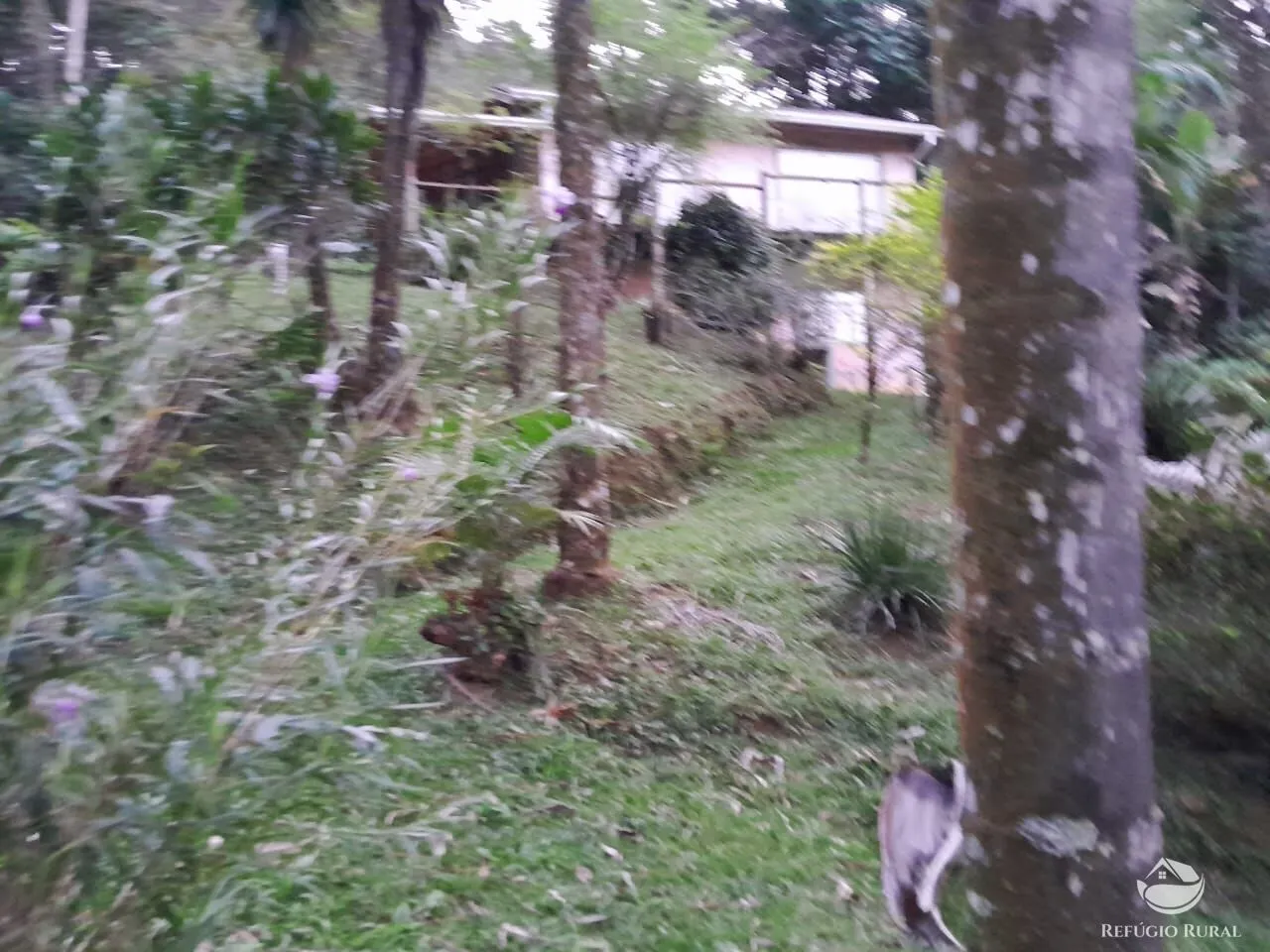 Country home for sale of 3,000 m² in São José dos Campos, SP, Brazil