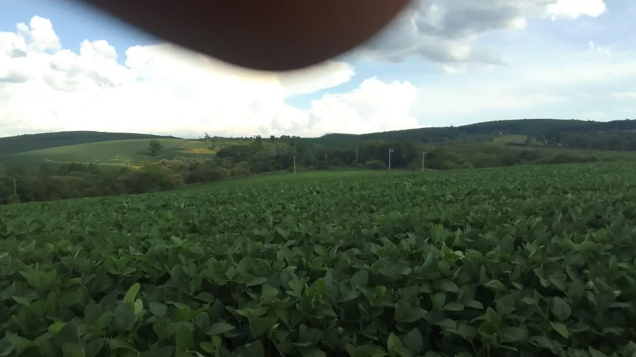 Fazenda à venda de 97 ha em São Miguel Arcanjo, SP, Brasil