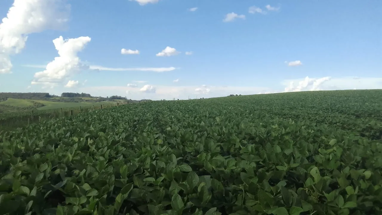 Fazenda à venda de 97 ha em São Miguel Arcanjo, SP, Brasil