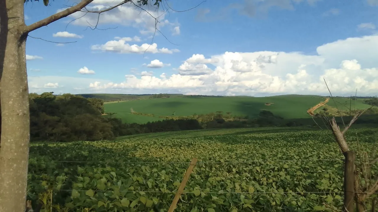 Fazenda à venda de 97 ha em São Miguel Arcanjo, SP, Brasil