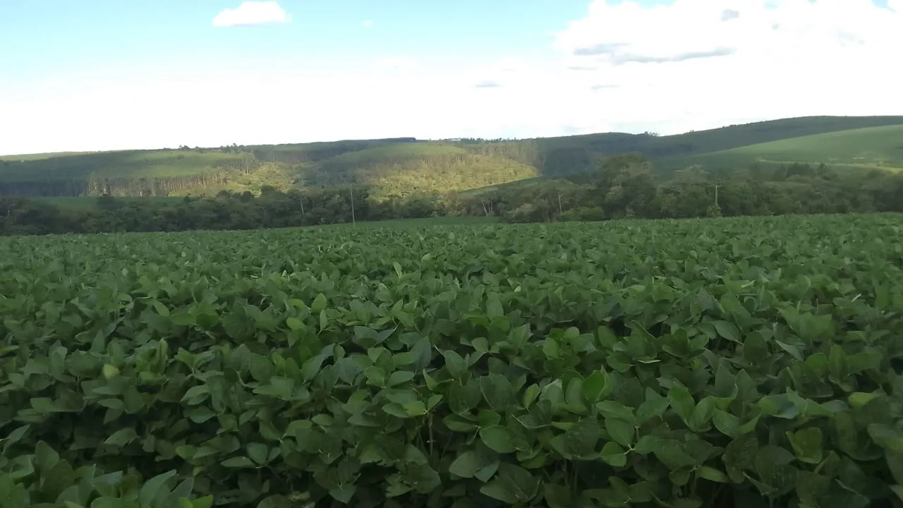 Fazenda à venda de 97 ha em São Miguel Arcanjo, SP, Brasil