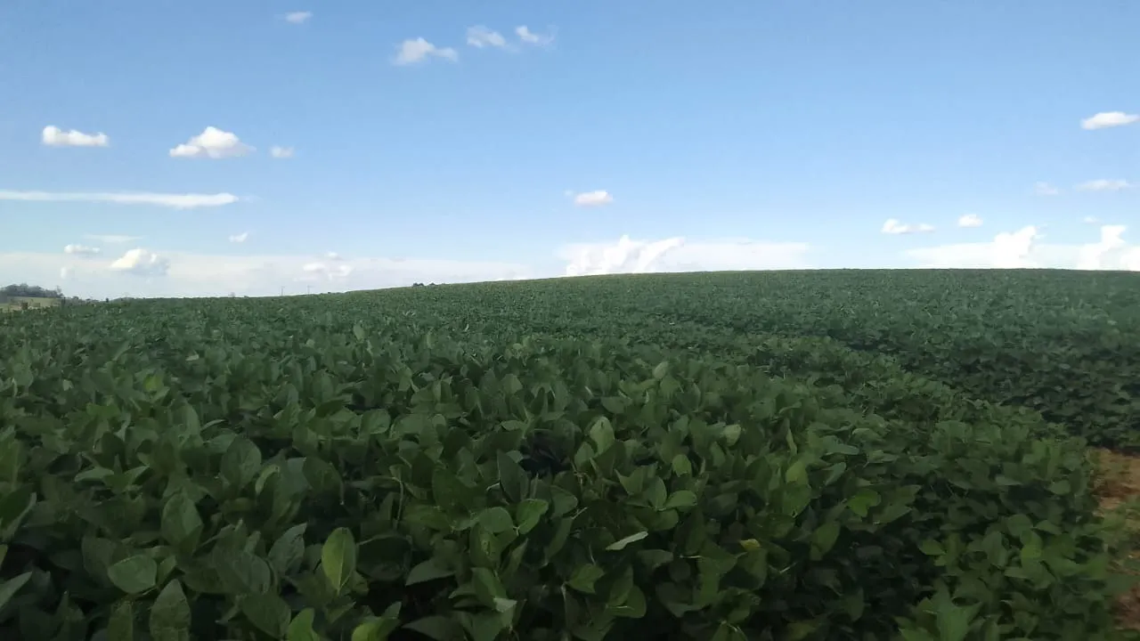 Fazenda à venda de 97 ha em São Miguel Arcanjo, SP, Brasil