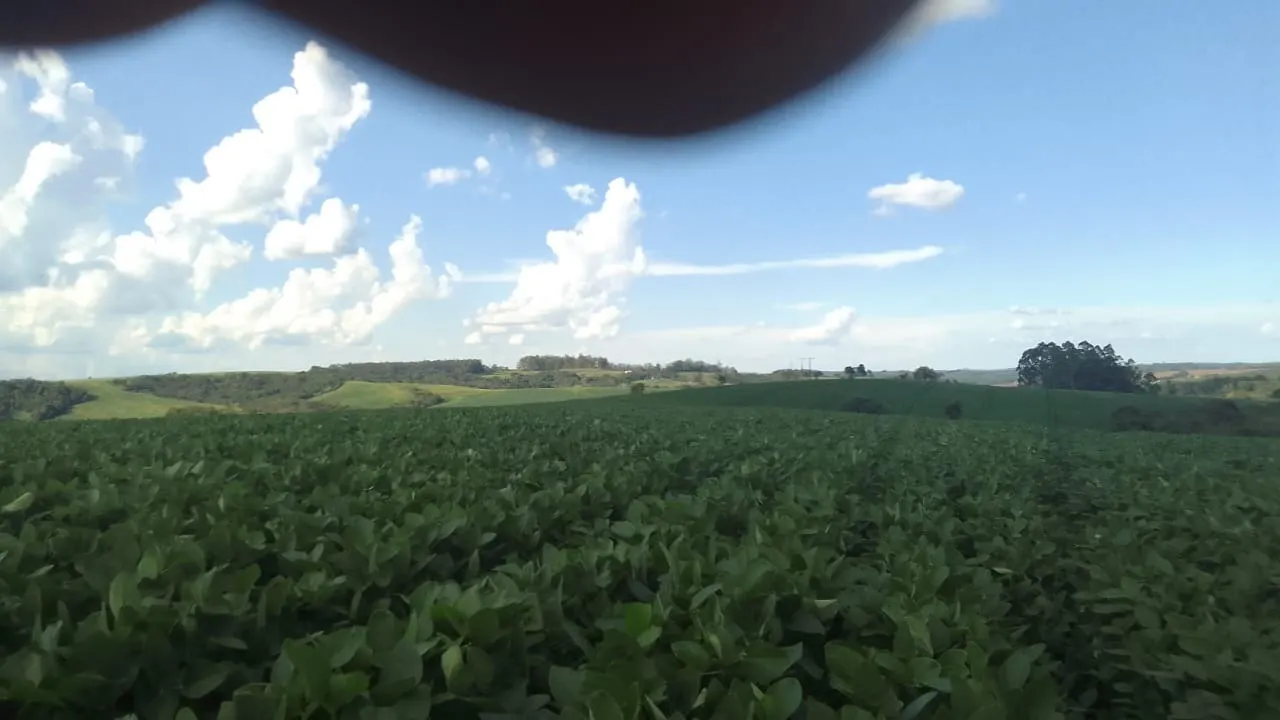 Fazenda à venda de 97 ha em São Miguel Arcanjo, SP, Brasil