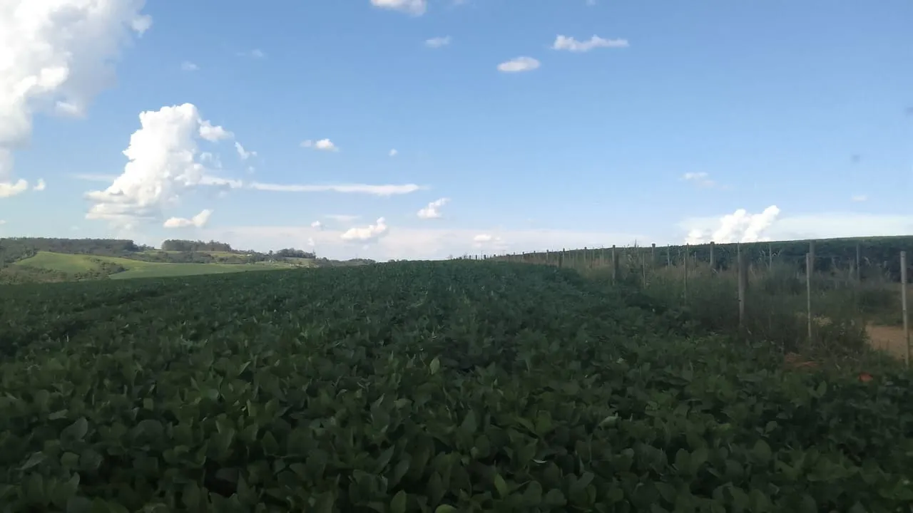 Fazenda à venda de 97 ha em São Miguel Arcanjo, SP, Brasil